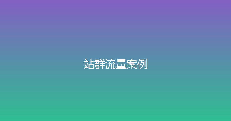 站群流量案例 封面图